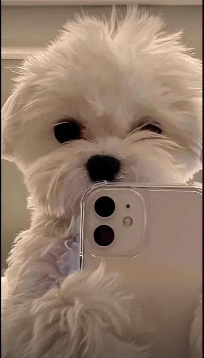 <a href="/SolJakey/">Jakey</a> Day 1 of selfie a day until Arang hits billion

Daddy delivery.