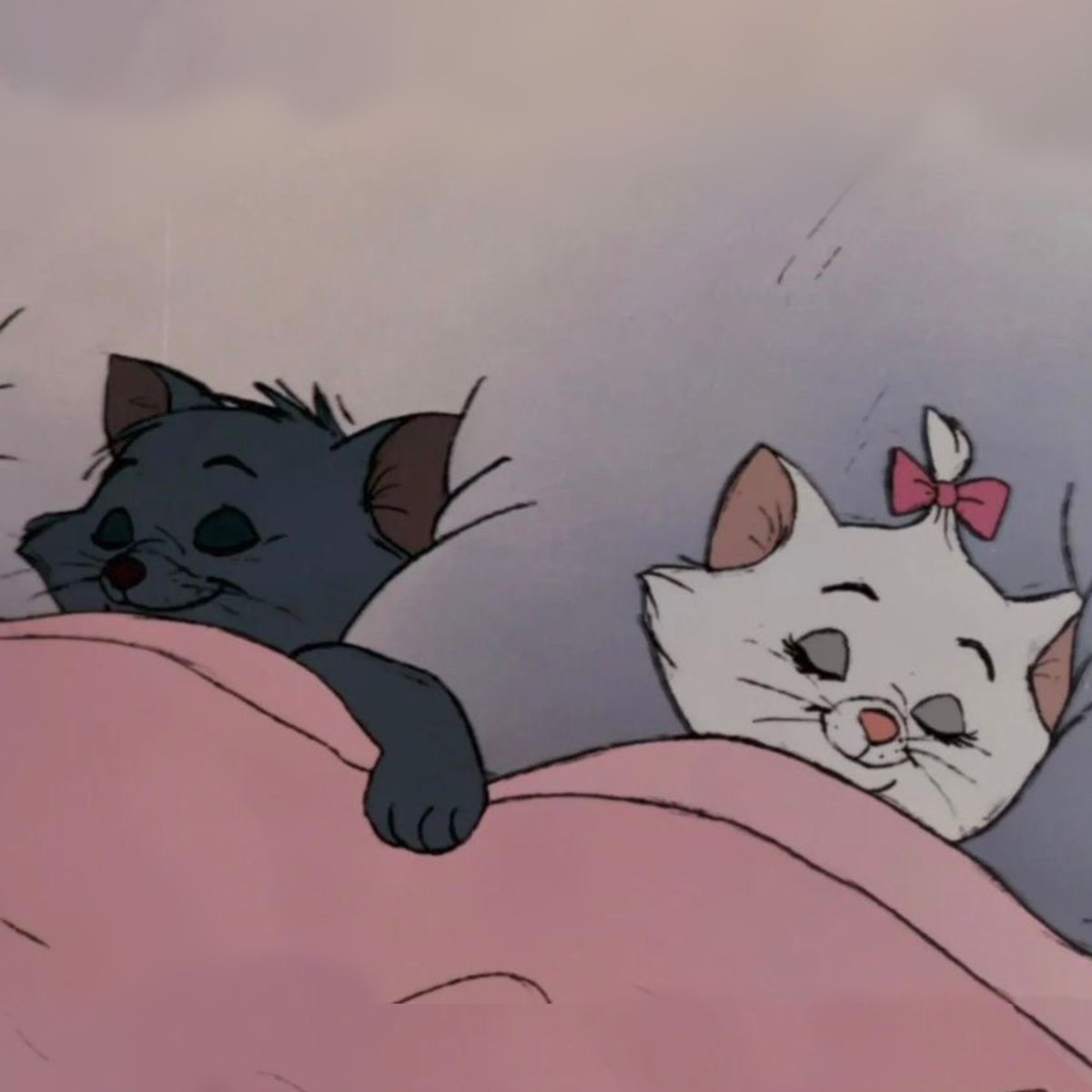 ִ (@njmhae) on Twitter photo 