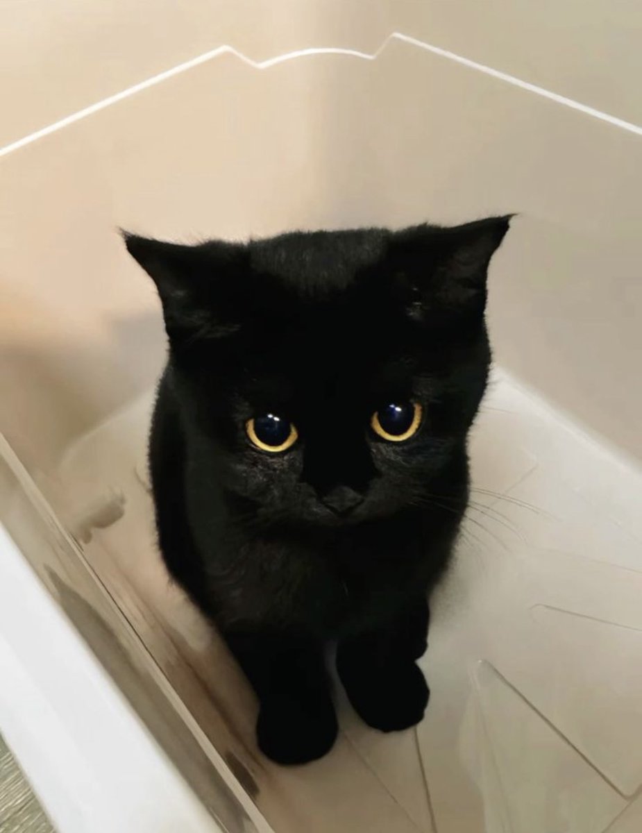 Si NO CREES que soy de la mala suerte, dame un ❤