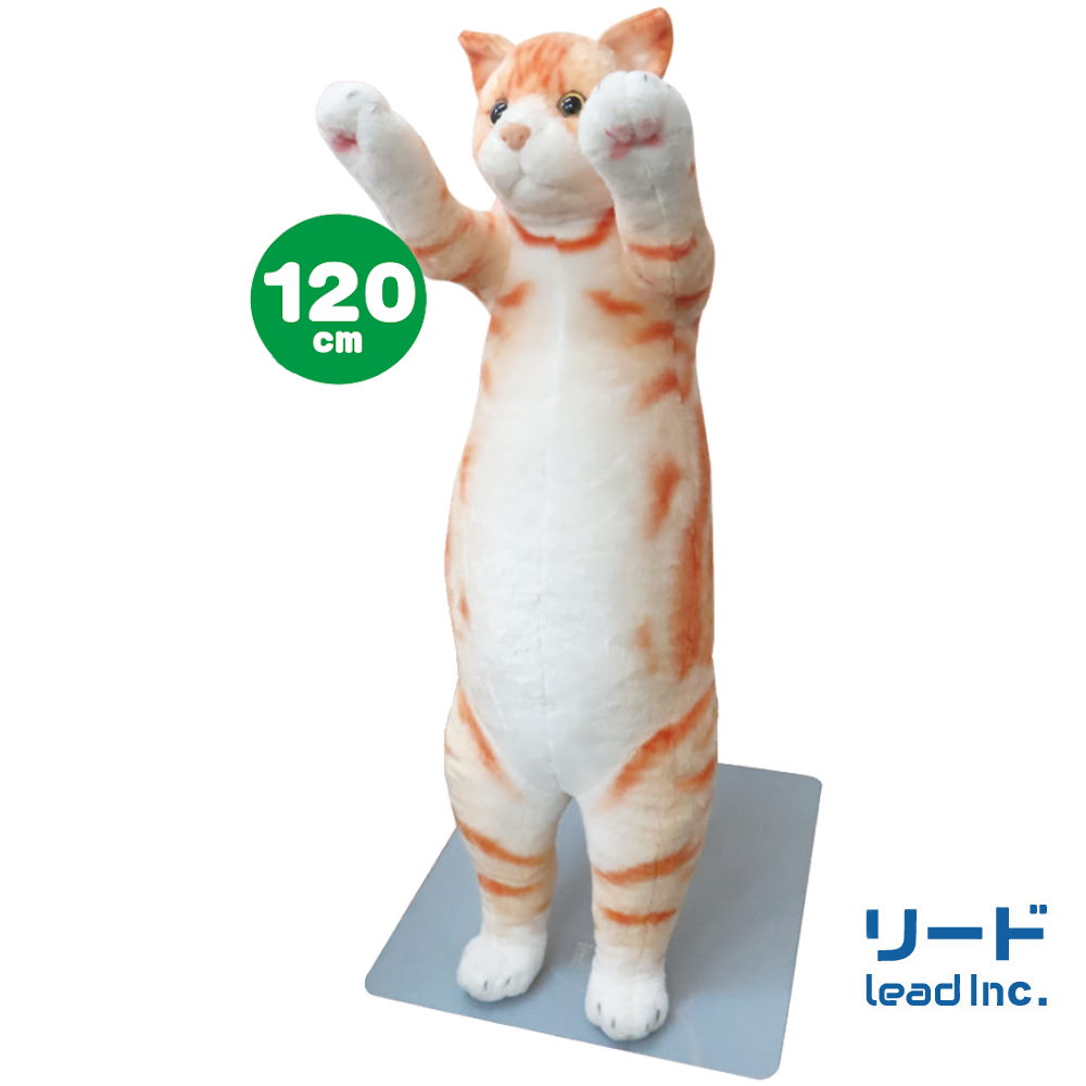 lead_0403's tweet image. たっちぃZooの120cmが登場しました🐱
でかいです。通常の2倍です。
看板はもちろんですが、お家の表札にもばっちりです🏠
どなたでもお買い求めできますので、気になる方はチェック↓↓↓↓↓
たっちぃZooにゃんこ 120cm　アメリカンショートヘア | リードのおみせ Catail (lead0403.base.shop)