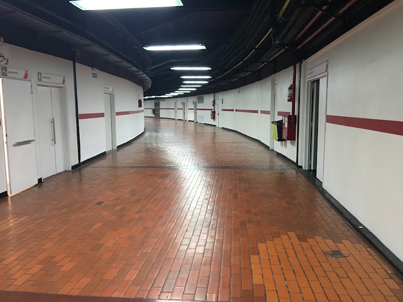 Liminal Argentina (@argenliminal) on Twitter photo 