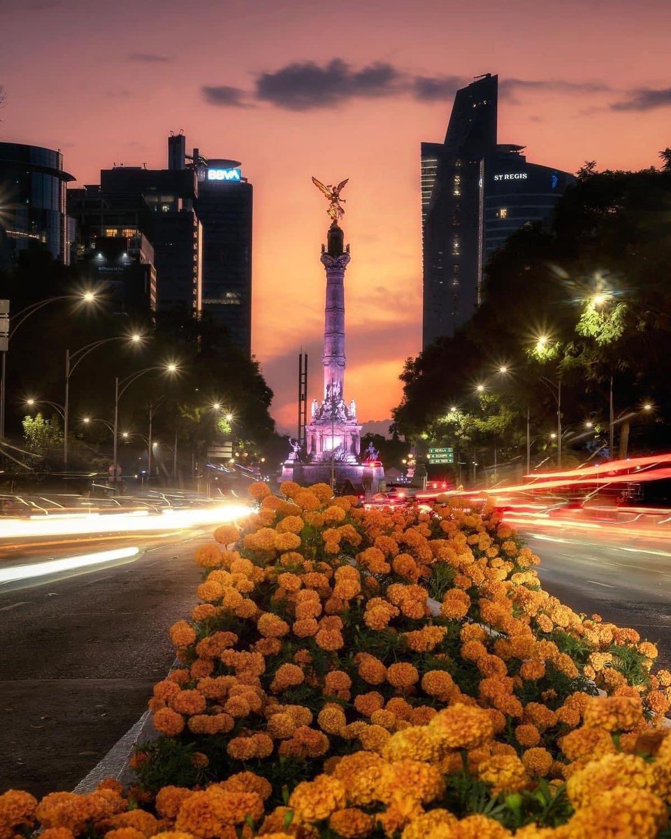 Oficialmente llegó el Otoño a México 🇲🇽 hoy a las 6:44 AM 🍂💛🌻🌻🌼