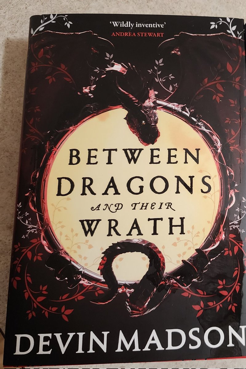 JessMeraki's tweet photo. No one:

Me: buying a dragon-y book by @DevinMadson just because it was recommended by @lindenalewis and going for the full numbered, special edition from @binding_broken with sprayed edges and foiling on the cover. Can't wait to devour this 🩵 https://t.co/DBbjFoNETs