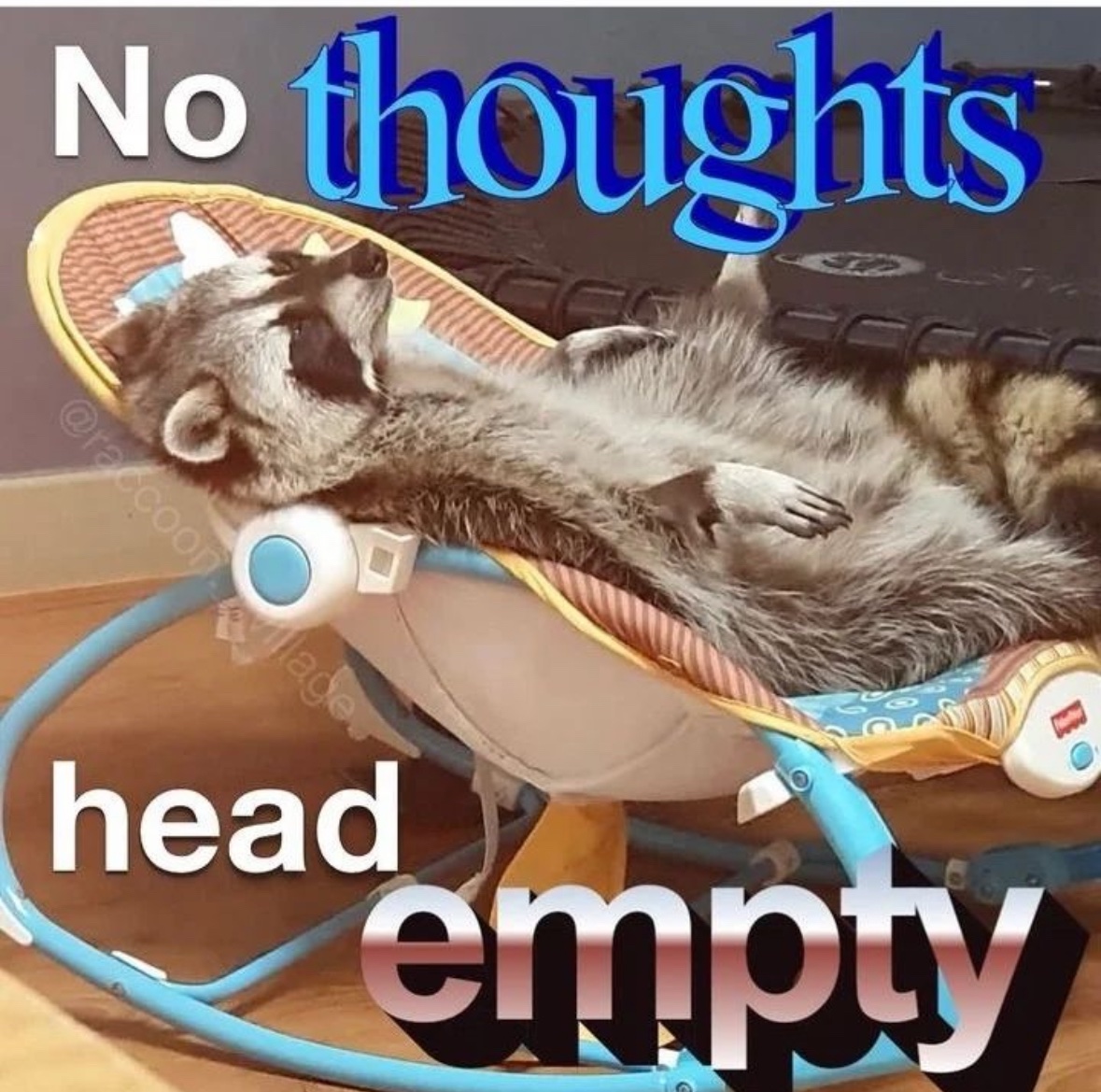 raccoonesthetic's tweet photo. https://t.co/5OvRThapDZ