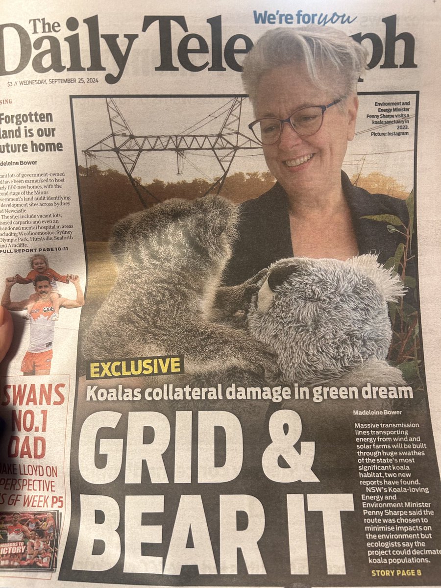 TaniaMihailukMP's tweet image. The hypocrisy of Labor Left in NSW- always anti timber and mining but big tick for transmission lines to prop up foreign owned renewables that will reek havoc across regional communities and the natural habitat of koalas. It’s just collateral damage as they say! #netzerofail