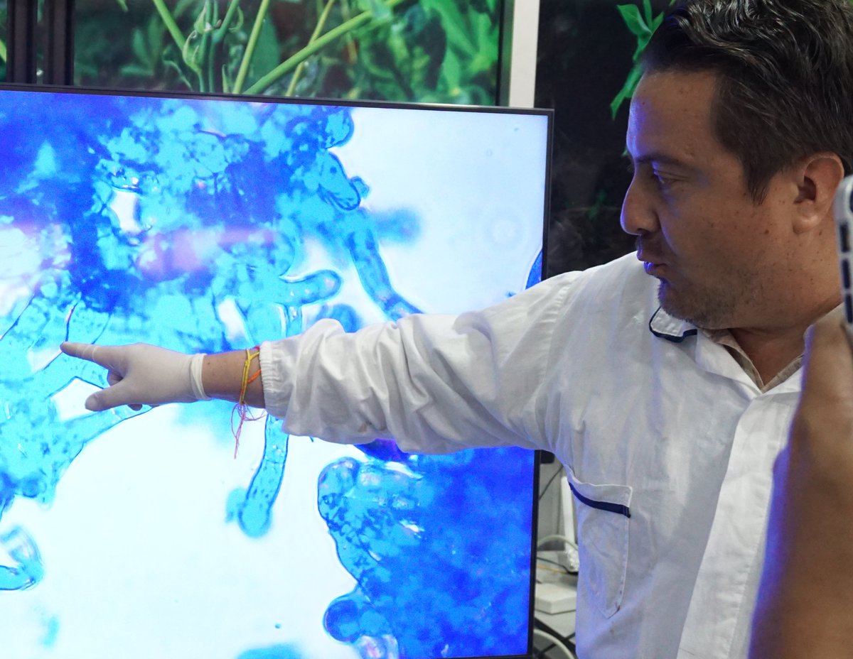 Wilmer Cuellar tweet media