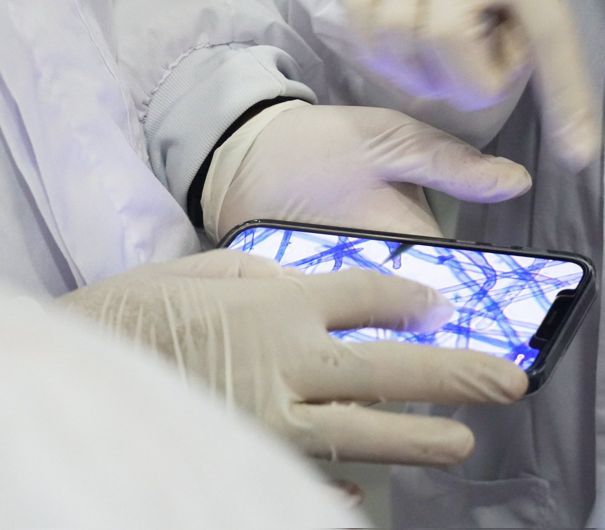 Wilmer Cuellar tweet media