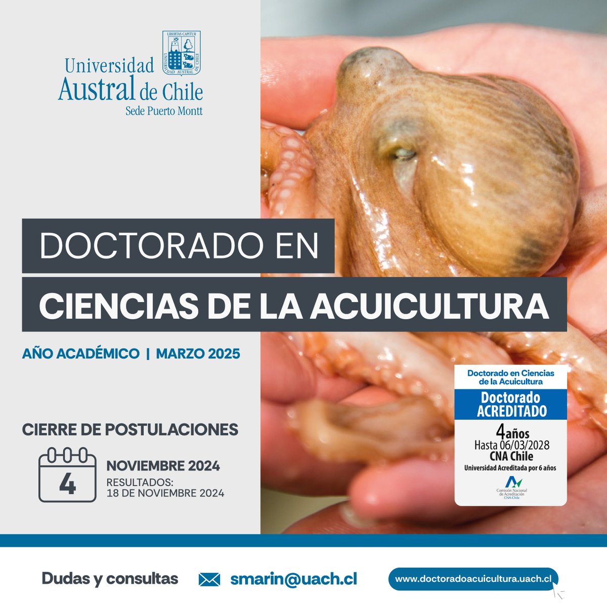 Doctorado en Ciencias de la Acuicultura UACh (@dcauach) on Twitter photo 🌏ADMISIÓN 2025
El Doctorado en Ciencias de la Acuicultura de la UACh Sede Puerto Montt inicia postulaciones para el año 2025.
👉Más información en nuestra página web doctoradoacuicultura.uach.cl o a través de un correo a Sandra Marín (smarin@uach.cl)
¡Te estamos esperamos!🖥️ 🌏ADMISIÓN 2025
El Doctorado en Ciencias de la Acuicultura de la UACh Sede Puerto Montt inicia postulaciones para el año 2025.
👉Más información en nuestra página web doctoradoacuicultura.uach.cl o a través de un correo a Sandra Marín (smarin@uach.cl)
¡Te estamos esperamos!🖥️