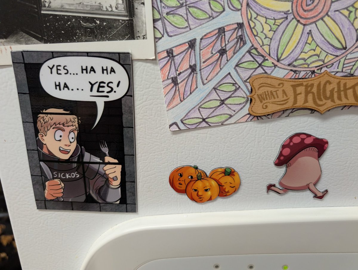 I forgot I ordered these Dungeon Meshi magnets and when I opened my mail I cackled.