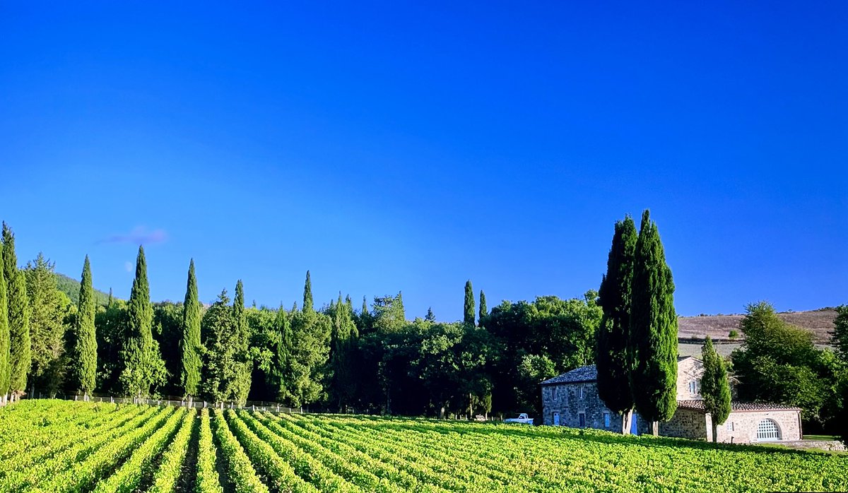 anopenbooklife's tweet photo. A sense of happiness to see Scorpios working in the Tuscan vineyards on Apple TV with my favorite ‘Reluctant Traveler’ https://t.co/cOt3NjJESS