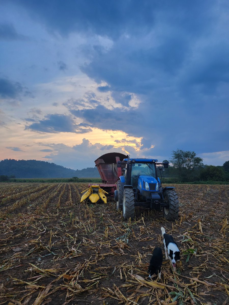 ImmaSouthpaw tweet media