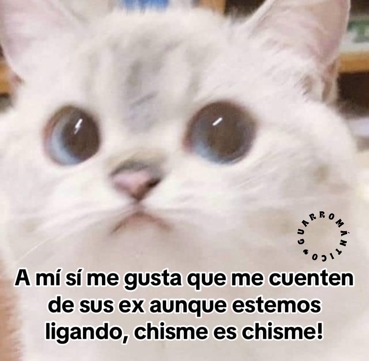 Guarromantico_'s tweet photo. Hay prioridades. https://t.co/ldGYZevI9A