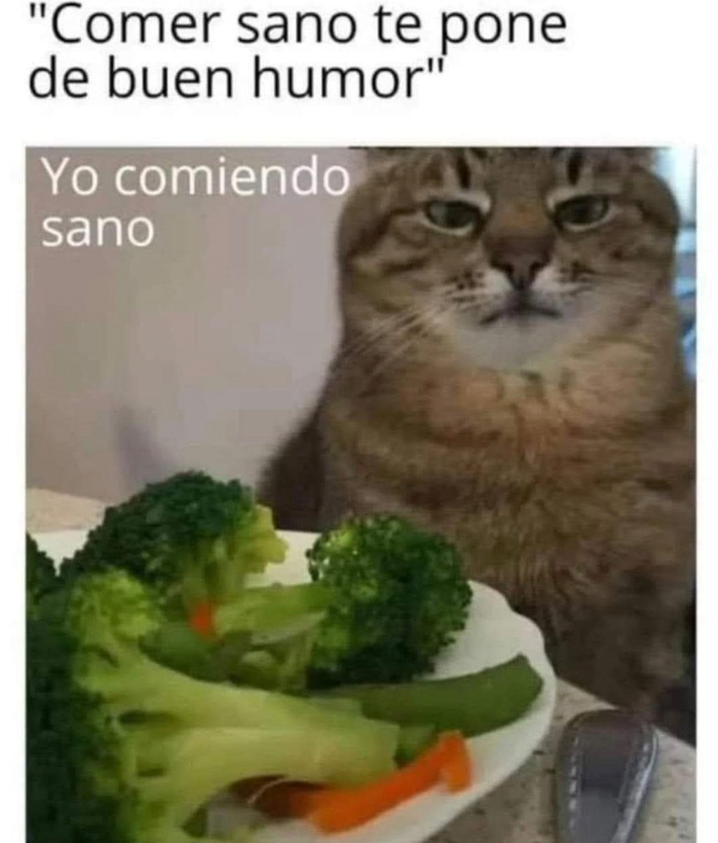 boladepelosof's tweet photo. 🥬🍅🫑🍆🫛🥑
😾😾😾😾

#boladepelos #michimeme #CatsOfX #gato #gatos #gatitos #gatosfelices #catslovers #mascota #mascotas #mascotasfelices #felinos #felinoslindos #michis https://t.co/ZwlxuyBH3V