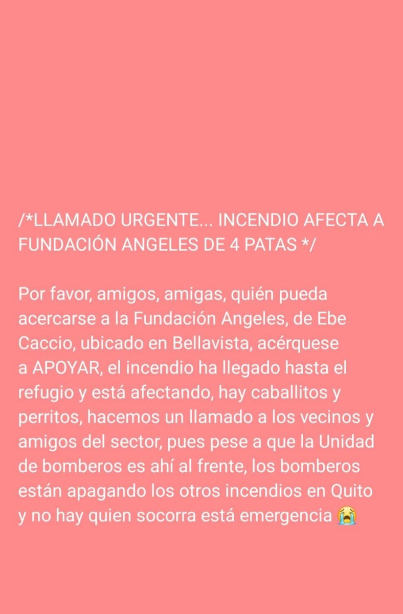 🆘 AYUDA  Angeles en Cuatro Patas 
Ubicación:   g.co/kgs/ymkjvhV
<a href="/EcuavisaInforma/">Ecuavisa Noticias</a> <a href="/teleamazonasec/">Teleamazonas</a> <a href="/jcarreraandrade/">Jonnathan Carrera</a> <a href="/GKecuador/">GK</a>
<a href="/mariasolborja/">María Sol Borja</a> <a href="/jcarlosaizprua/">Juan Carlos Aizprúa</a>
<a href="/LoroHomero/">Jorge Yunda Machado</a> <a href="/comunidadquito/">Comunidad Quito</a>
<a href="/Polificcion/">Carlos Andrés Vera</a>
#Guapulo #IncendiosForestales #QuitoSinAlcalde