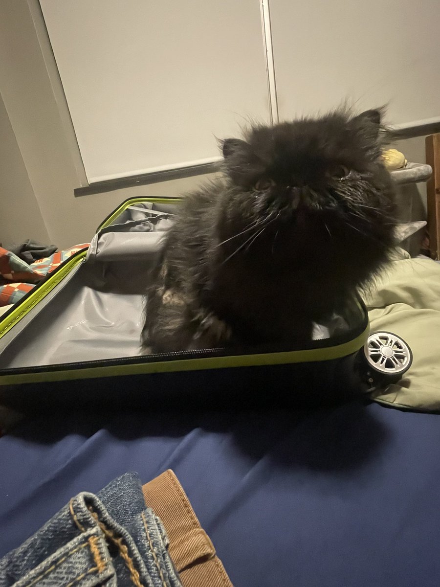 So excsited to go. To the ew kay for a weak!