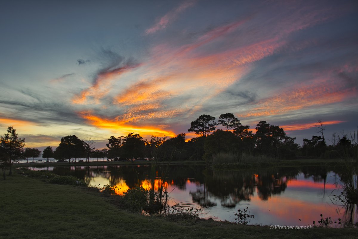 Golden hour at its finest at Fontainebleau State Park, Mandeville, Louisiana
#visitthenorthshore #louisiana #mandeville