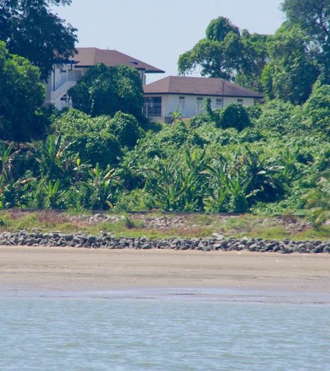 This is the house in Borneo where AR Wallace wrote his “Sarawak Law” paper, science that changed the world forever. We cruised the rivers nearby and were privileged to see some of the marvellous animals and plant that revealed to Wallace how evolution works.