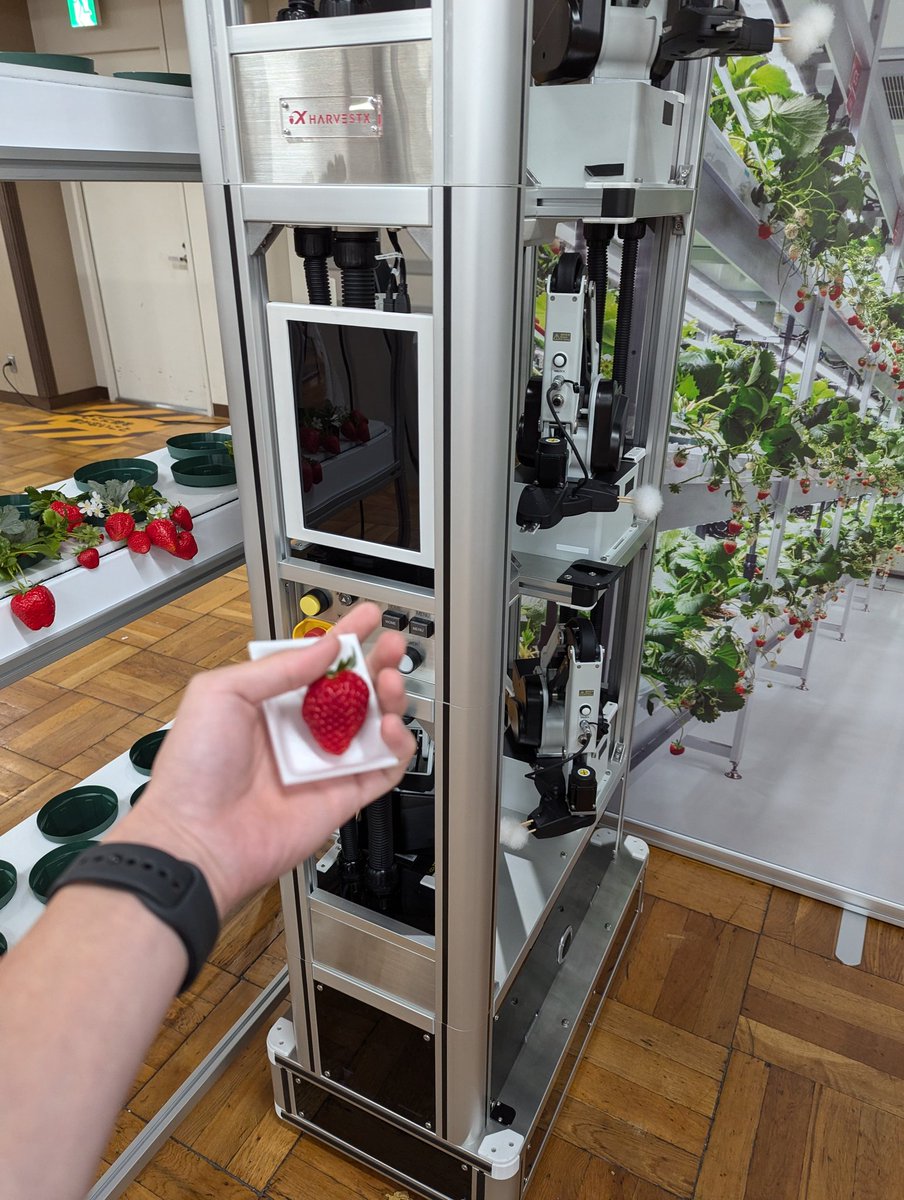 kzs321's tweet image. いちご！！！！！
#ROSConJP2024