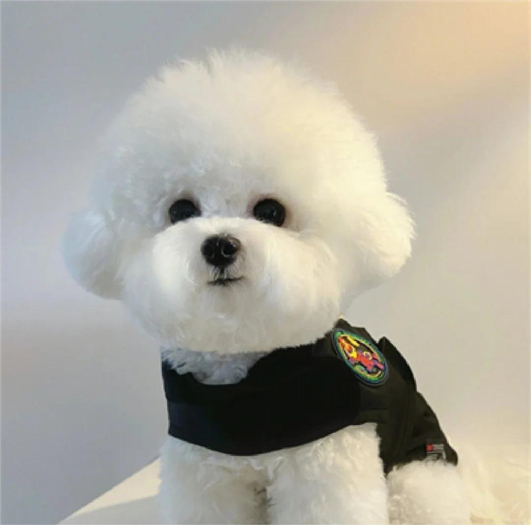 Deepclouds's tweet image. Finally got my twitter account back.