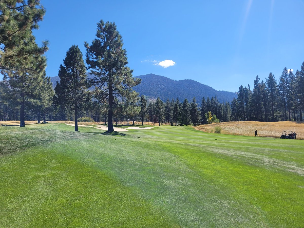 SuperAli1988's tweet photo. It was a great day and a big turnout   @EdgewoodTahoe for @SNGCSA President Cup today. The golf course was in great shape like always. Thank you Brad and @EdgewoodTahoe for hosting us today. https://t.co/5LHLcUFaJr