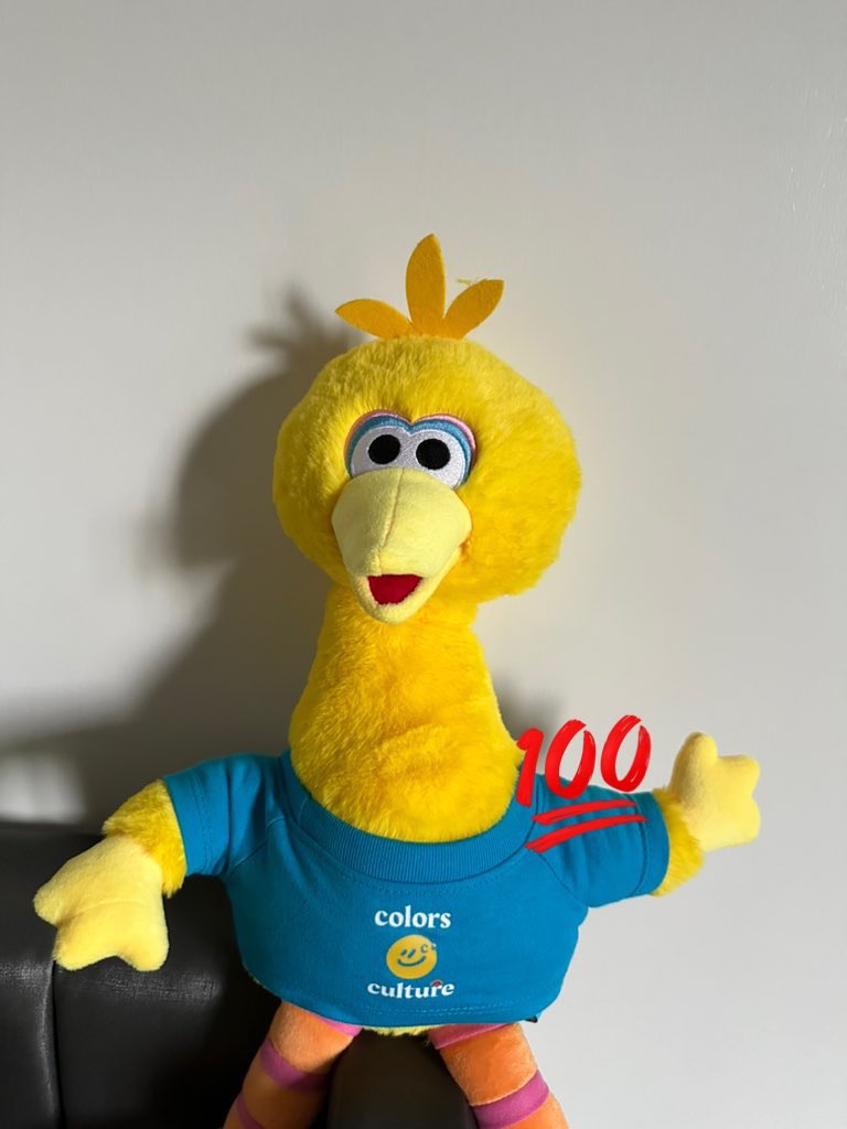 sinceaug99's tweet photo. ส่งต่อ / wts 
Big Bird Doll 800 free shipping 💛
💌 dm 
#colorsculturebyPPKRITT #ppkritt 
#ตลาดนัดบกพพ #ตลาดนัดbkpp https://t.co/CTqglEU8pg
