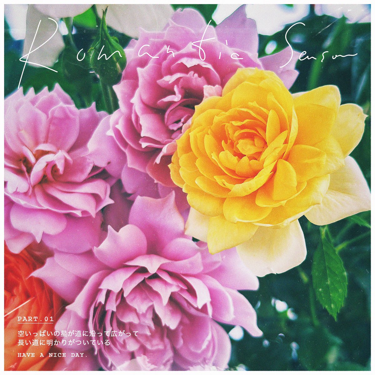 DJAllen1024's tweet photo. 月季💕
#RoseADay  
Have a nice day 🌸

#GardeningX #Roses #MyGarden #FlowerPhotography https://t.co/bHYDmdh80e