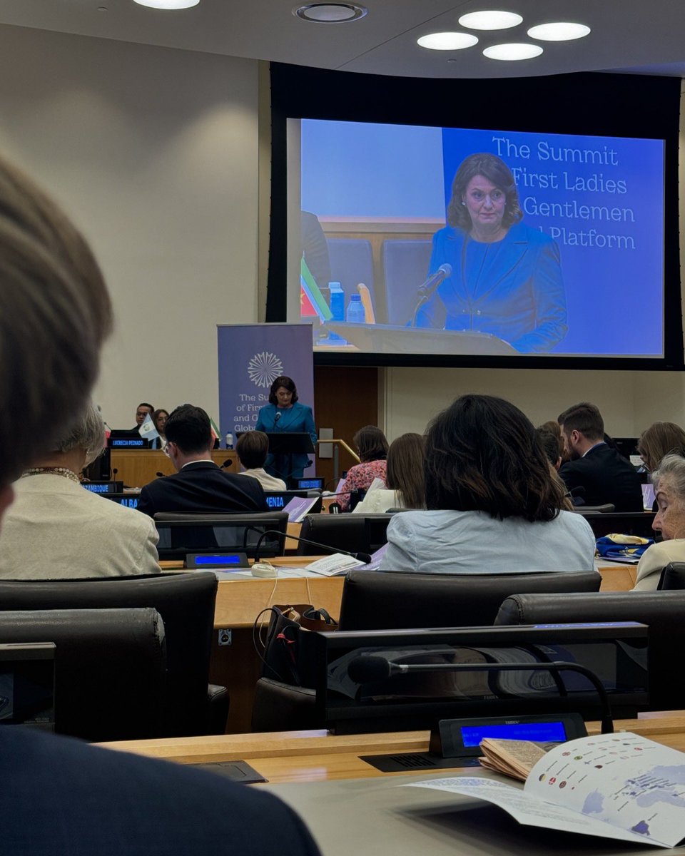 Grateful but frustrated -

<a href="/BobRae48/">Bob Rae</a> <a href="/justinpjtrudeau/">Justin Trudeau</a> <a href="/karinagould/">Karina Gould</a> please stop speaking for us and start supplying us the funding &amp; resources to build a sustainable future. 

This weekend, I was honoured to attend the Summit of the Future at the United Nations Headquarters in