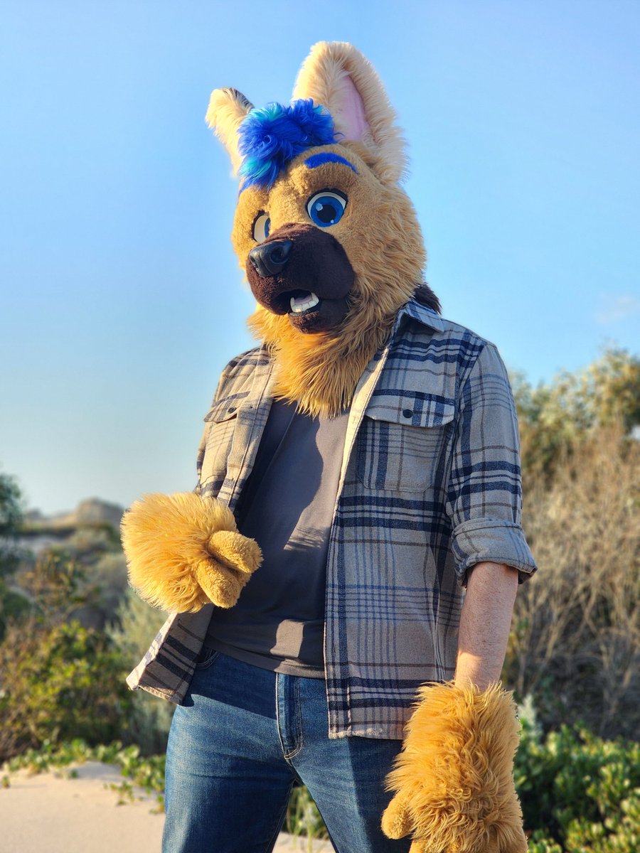 EmptySync ➡️ FurDu, MP tweet media