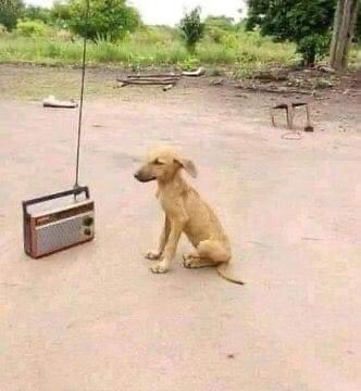 abasedwin1's tweet photo. @DullahTheking2 Huku Kasulu vijijini hakuna TV, nimeamka nasikiliza Redio TBC Taifa nasikia kuna waziri kagalagala huko... Mtuambie wakuu ilikuwaje kwani??

#Bongoland https://t.co/eOwd0SSbRH