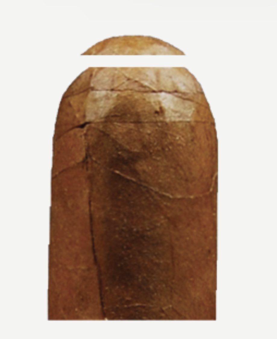 CigarLector tweet media
