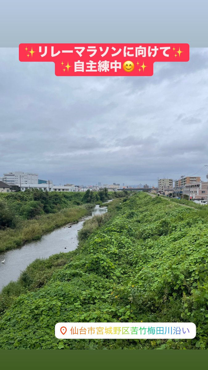 Mrcarrasco4's tweet photo. 勢いで11月のリレーマラソン🏃‍♀️にエントリーしちゃったもんで😅

WalkingじゃなくRannigに切り替えつつ自主練中🏃‍♀️‼️

彼岸花、曼珠沙華が河川敷にいっぱい咲いててキレイです😊✨

#梅田川 #ウォーキング #ランニング #walking #ranning #リレーマラソン #秋の風 #彼岸花 #曼珠沙華 https://t.co/hIolPOGV6a