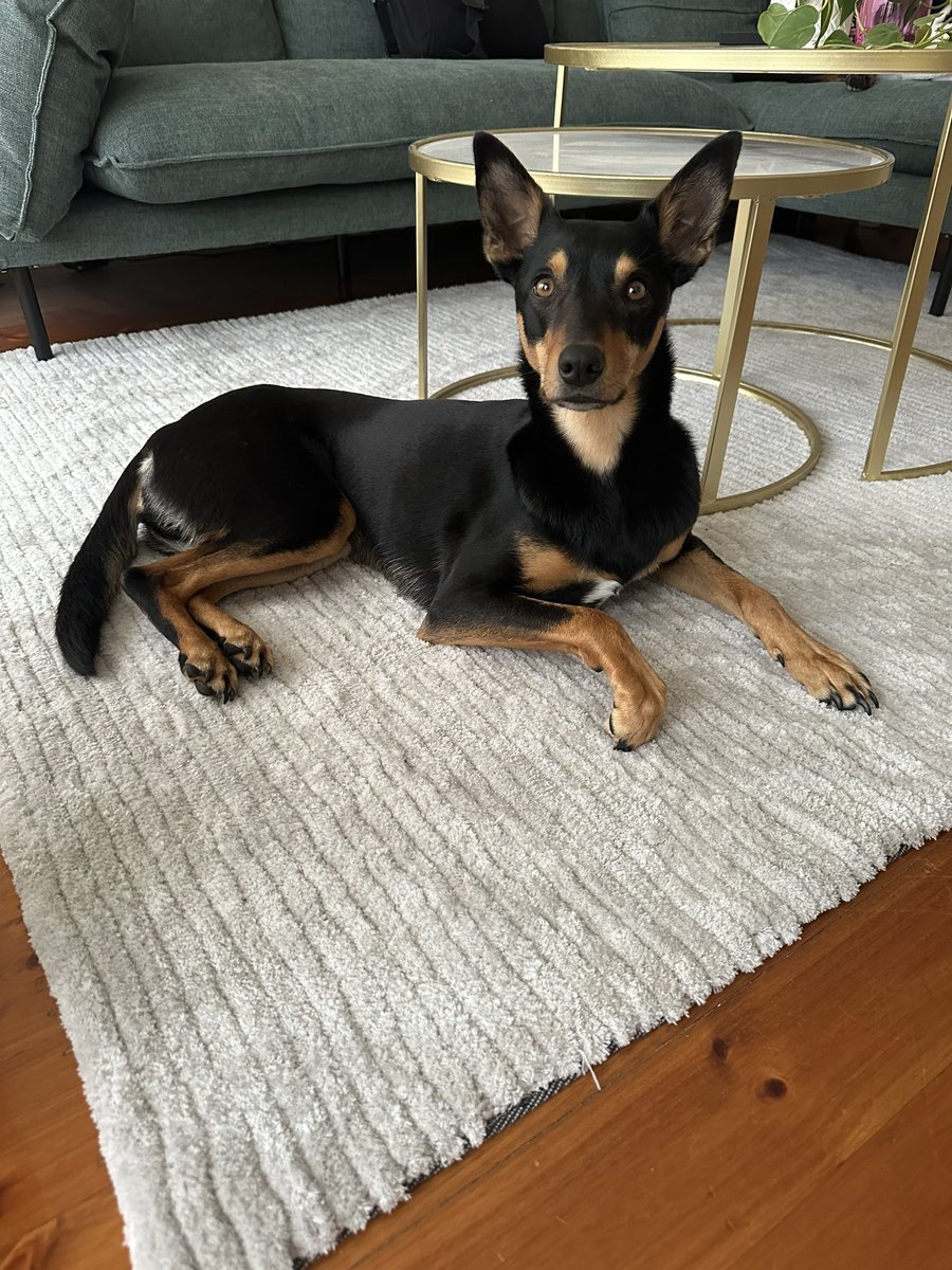 Support crew is on standby for the very final stretch of the PhD write-up, submission is in sight.