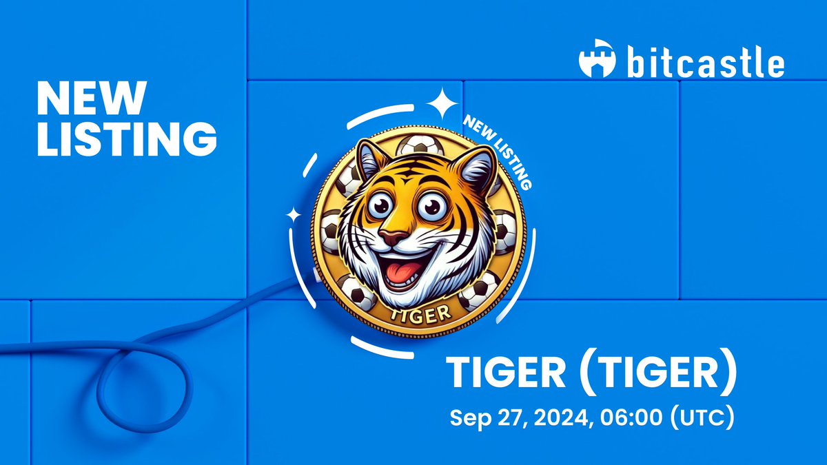 bitcastle tweet media