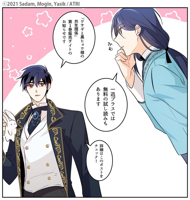 ウサギと黒ヒョウ様の共生関係（3） Amazon.co.jp: ウサギと黒ヒョウ様の共生関係（3） (カラフル