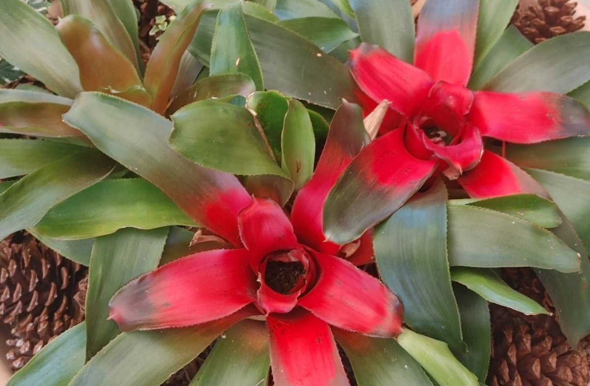 おはようございます🤗

昨日から風邪💧
…早朝現場～👀～

はい🙋～想定内の進み🤣
もう笑っちゃう🤣

～やる気ありまっか～

ほんまに体調悪いんだろうな💧
汗が思ってたよりかかない💦

鼻水なぜ出てくるねん💧ｸﾙｼｲ

ほな、ぼちぼち返信🙋ｱﾘｶﾞﾄｳﾈ

#60925おは戦🌊cq

今日もアクティブ⁉️