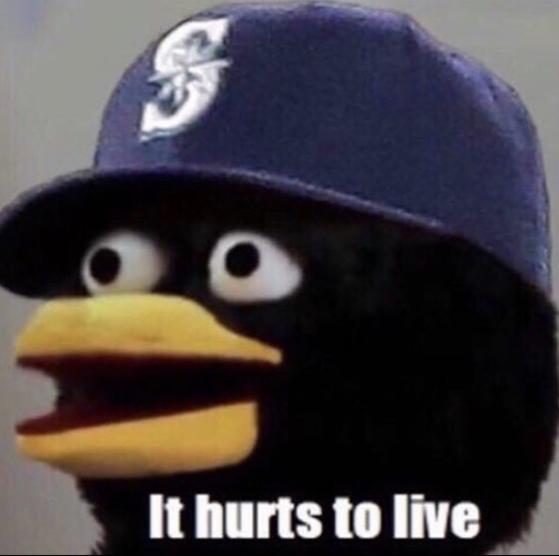 Grassi31's tweet photo. @MLB @astros @budweiserusa https://t.co/CzXzsszvQs