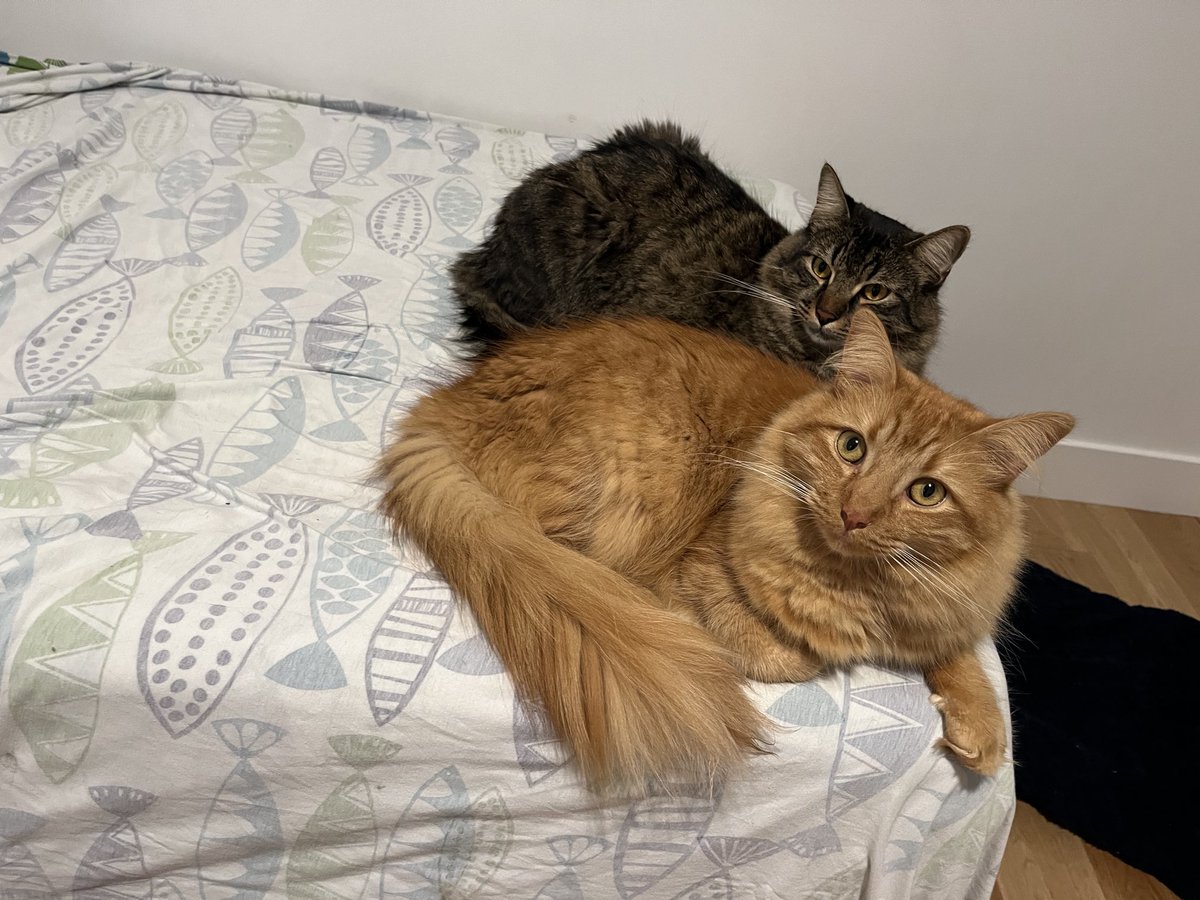 What do mean by “who threw up in the bed”?