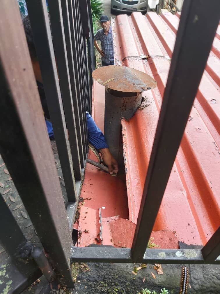 Forestales_13's tweet photo. #Operaciones Captura y Reubicación de Ofidio 🐍 de Especie Mapanare Bothrops Atrox en el Sector Las Mayas #MBI @droopy171 @PCivil_Ve @Zoedanaraguapc @vol_aragua @VoluntarioxVzla https://t.co/HNMGWXndr8