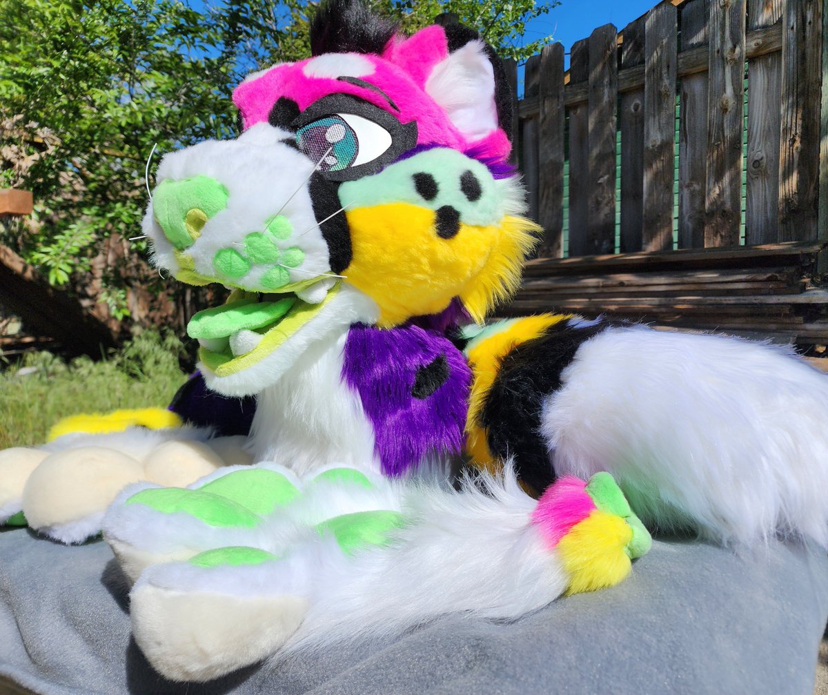 HyenaCandy_'s tweet photo. I finished this lady around Feb of this year, I love all her features! 
She's built off of a kloofsuits big cat base and features puffy paws on a pattern by YBL suits and a 5ft flood dragger tail! Welcome Prism to the HyenaCandy family <3 🍭 🍬 🎉 https://t.co/IiO2K8jY2Z
