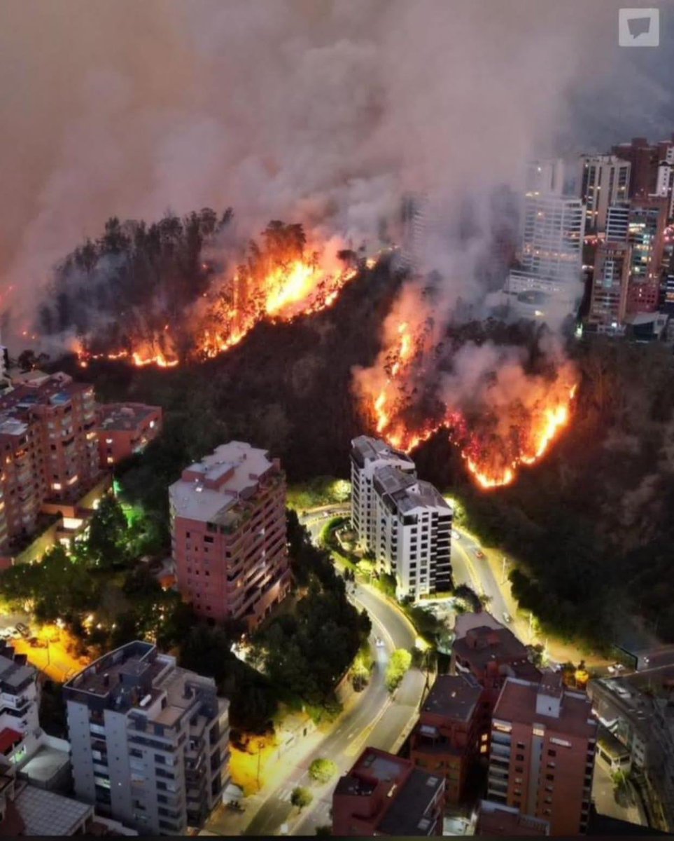Que el país entero vea la foto del correísmo en acción. Si fueron capaces de secuestrar, asesinar, desaparecer, torturar, narcotraficar, saquear el Estado; hacer esto es solo la muestra de su desesperación… ya todos lo tienen claro, hasta los pendejos borregos R5.