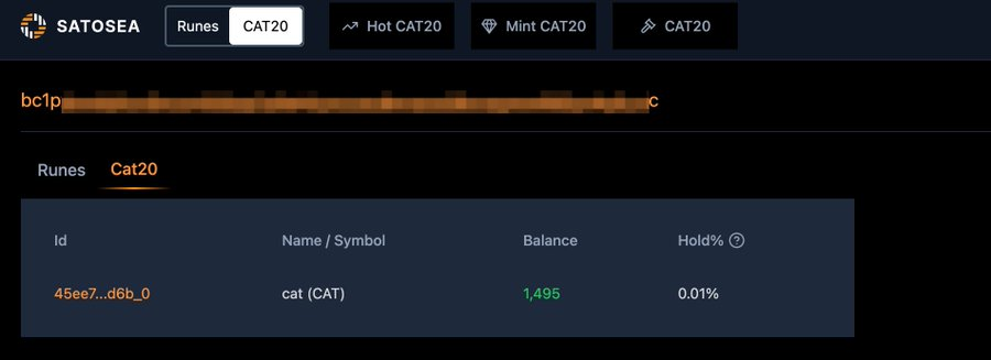 SatoSea ▣ ◉ tweet media