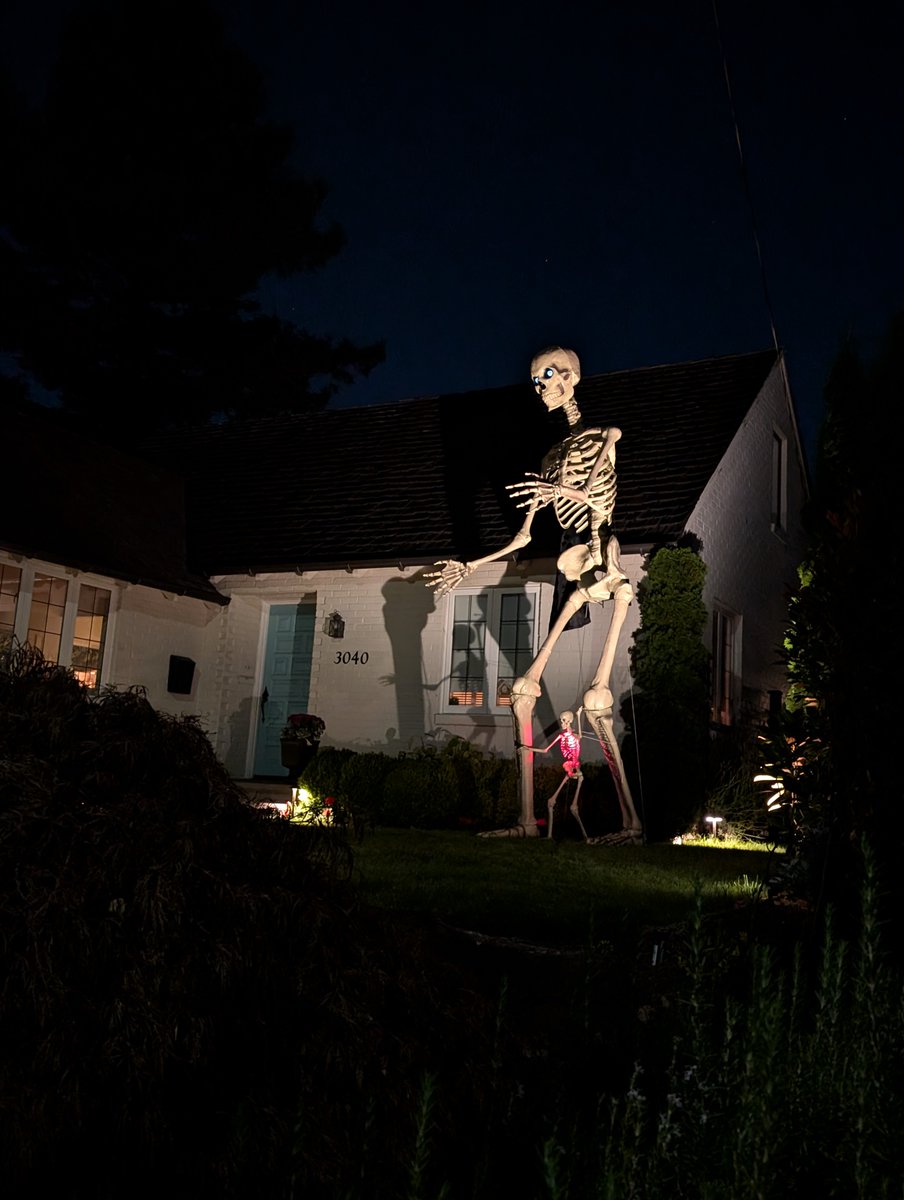 bykenarmstrong's tweet image. A little early for Halloween but for a 12-foot skeleton and baby skeleton you get a pass