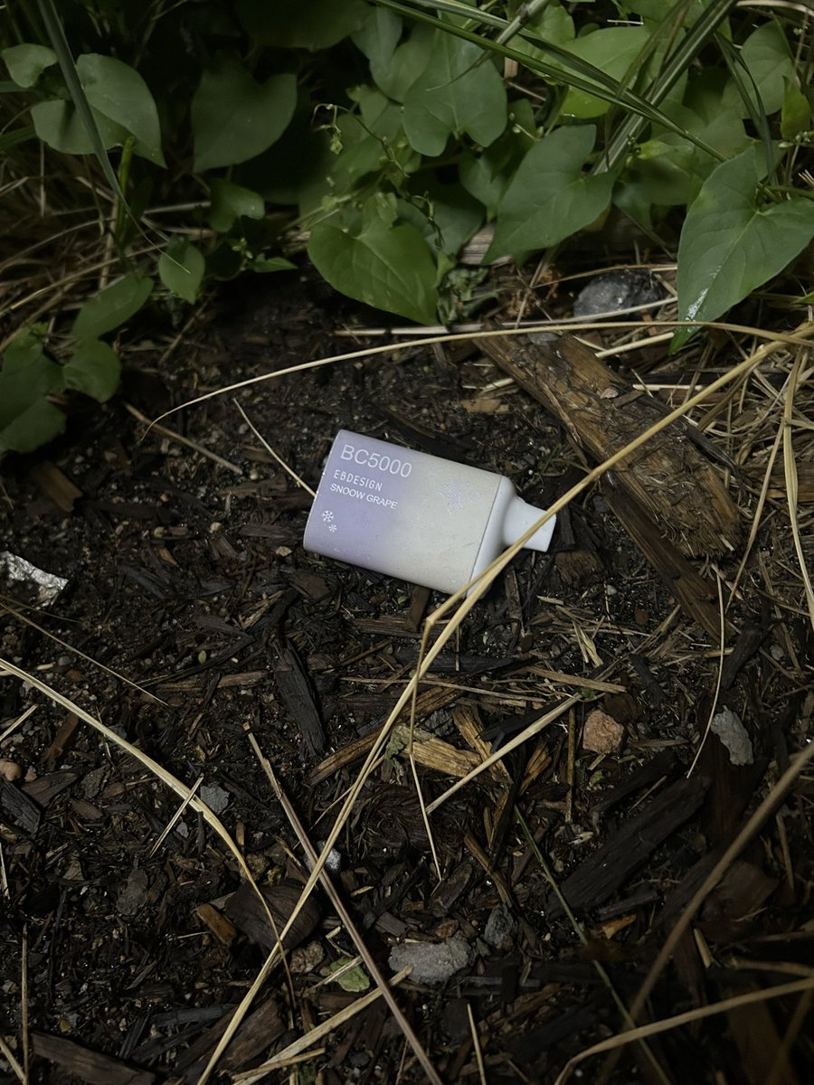 Found a discarded vape on the ground and it accidentally looks like a product picture