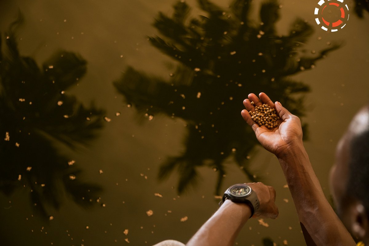 Innovating for a Sustainable Future 🌍 #WFPInnovationAccelerator #Tanzania #FoodSecurity #Sustainability #Innovation #GlobalGoals #SDG2 #ZeroHunger #ClimateChange #SocialImpact

@worldfoodprogramme @k15photos <a href="/juliusmoshiro/">Moshiro, Julius</a>