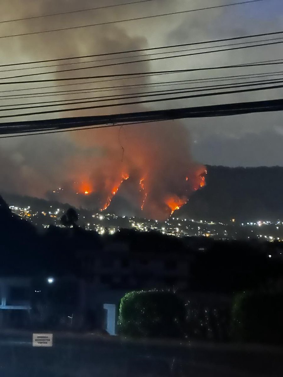 B_Gortaire_M's tweet photo. Ojo, en la quebrada de Gúapulo hay dos especies invasoras vegetales que cubren prácticamente todo el espacio el Eucalipto, que seca su entorno y no permite el crecimiento de otras plantas, y la Susanita, una planta que crece como alfombra y se extiende sobre todo como una maleza.

¿Es posible que las autoridades empiecen a tomarse en serio la reforestación con flora nativa?