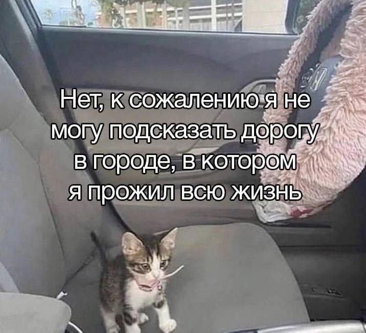 catsilcats's tweet photo. https://t.co/uxMwV176oV