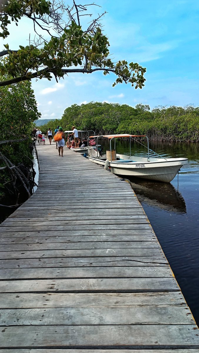 VenezuelanBaker's tweet photo. @tineophoto Cayo Playuela
Parque Nacional Morrocoy - Venezuela 🇻🇪
Redmi Note 12S https://t.co/2vqCYAvIgr