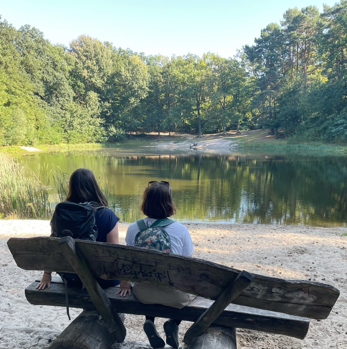 D-LABS ⏩ magnifying potentials tweet media