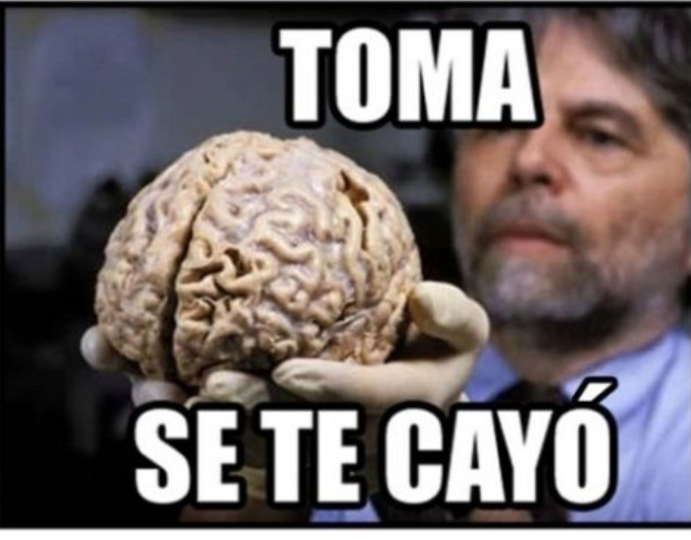 Esteban Paredes-Osses 🦠 tweet media