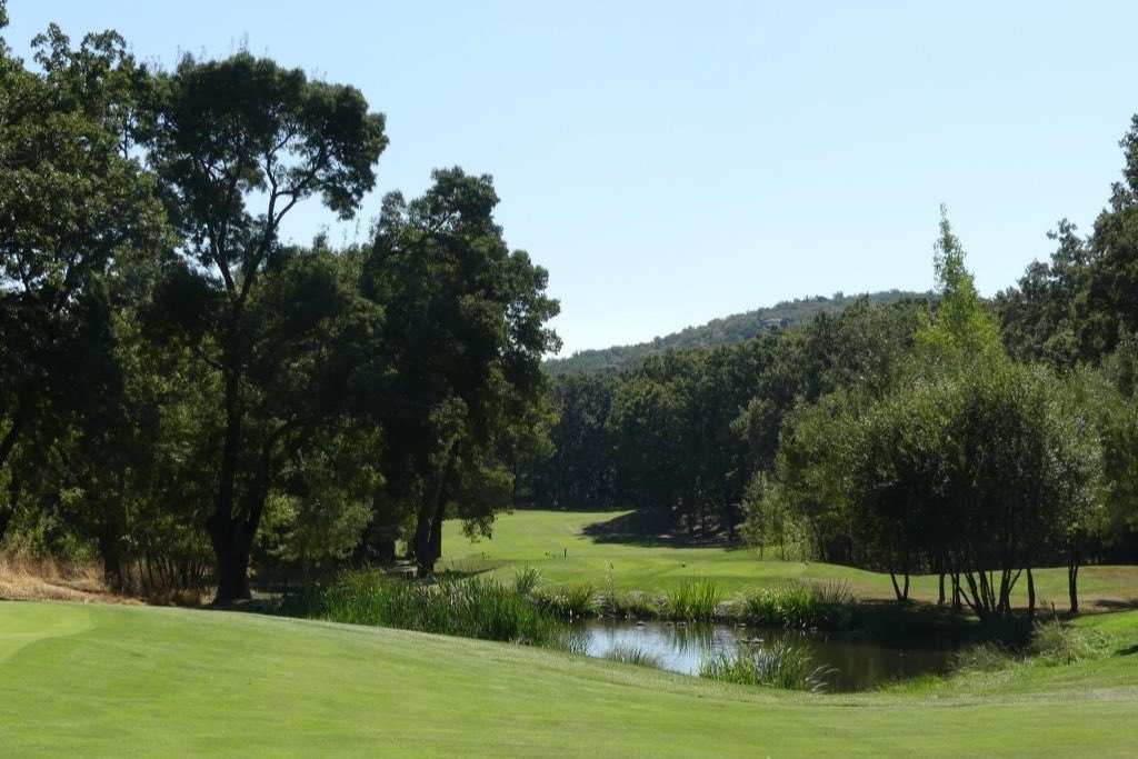 Playing golf at RCG La Herrería means embracing nature. The club is located in a lush forest near the Monastery of El Escorial and is a beacon of sustainability. Initiatives like solar power, water recycling, and avian protection earned La Herrería the "Premio Madera Verde." (+)